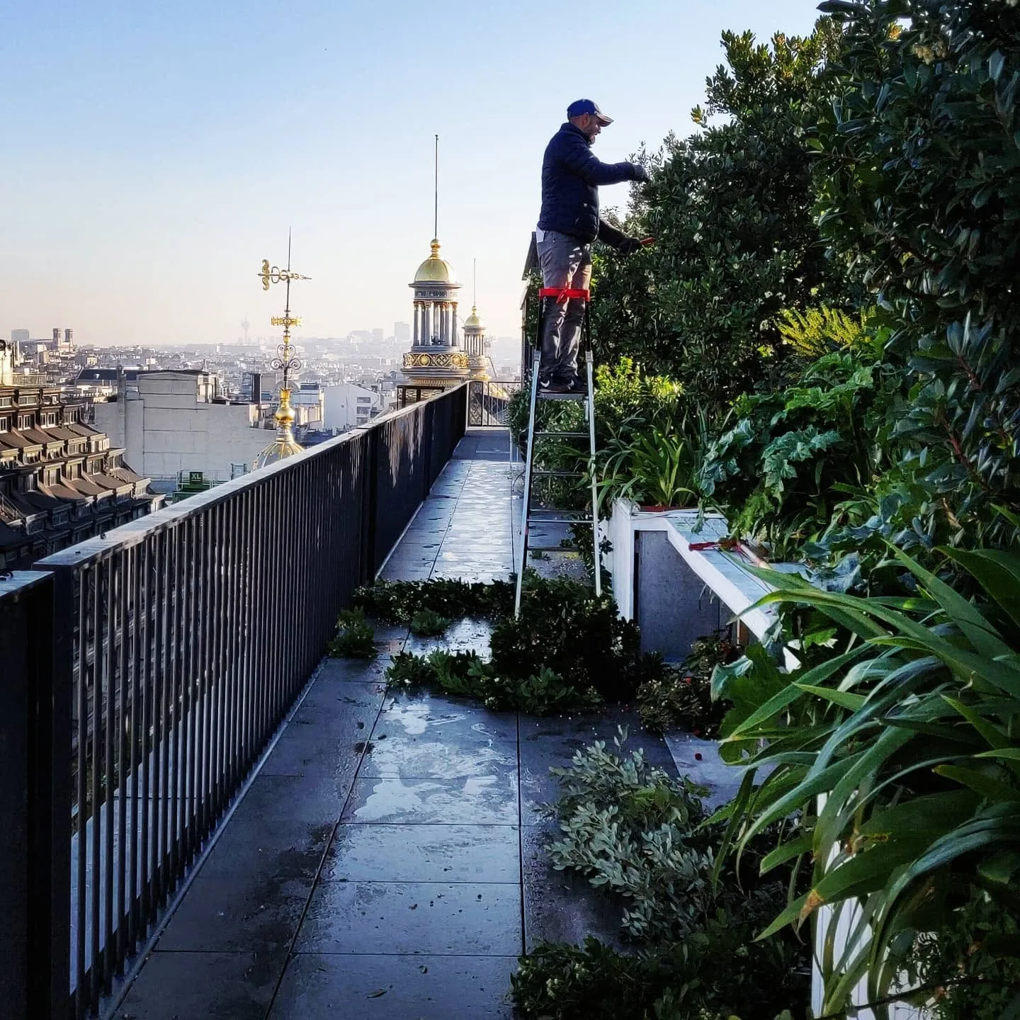 Paysagiste d'Azur & Lys taillant une terrasse-jardin en toiture, panorama parisien au petit matin